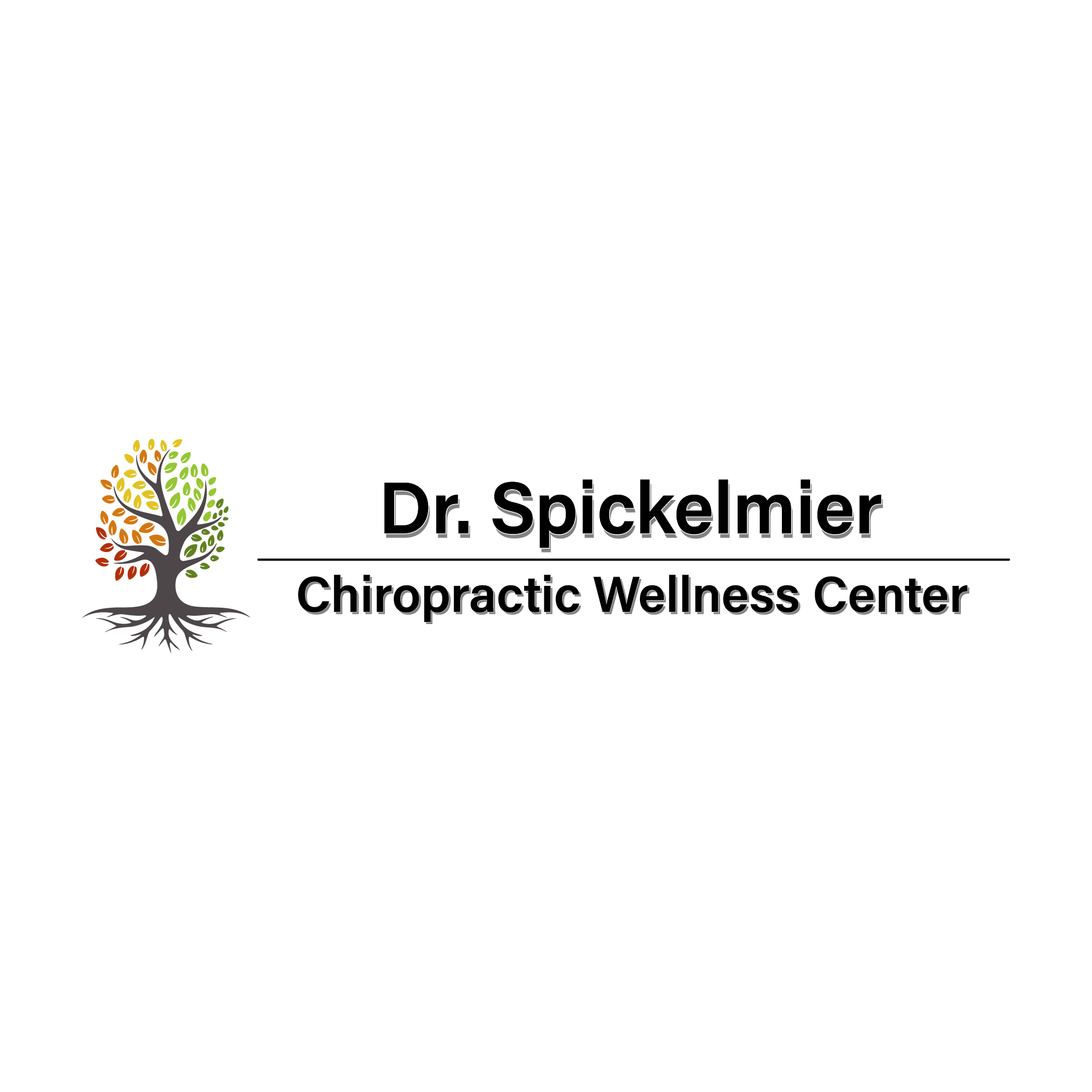 Chiropractic Wellness Center loading=