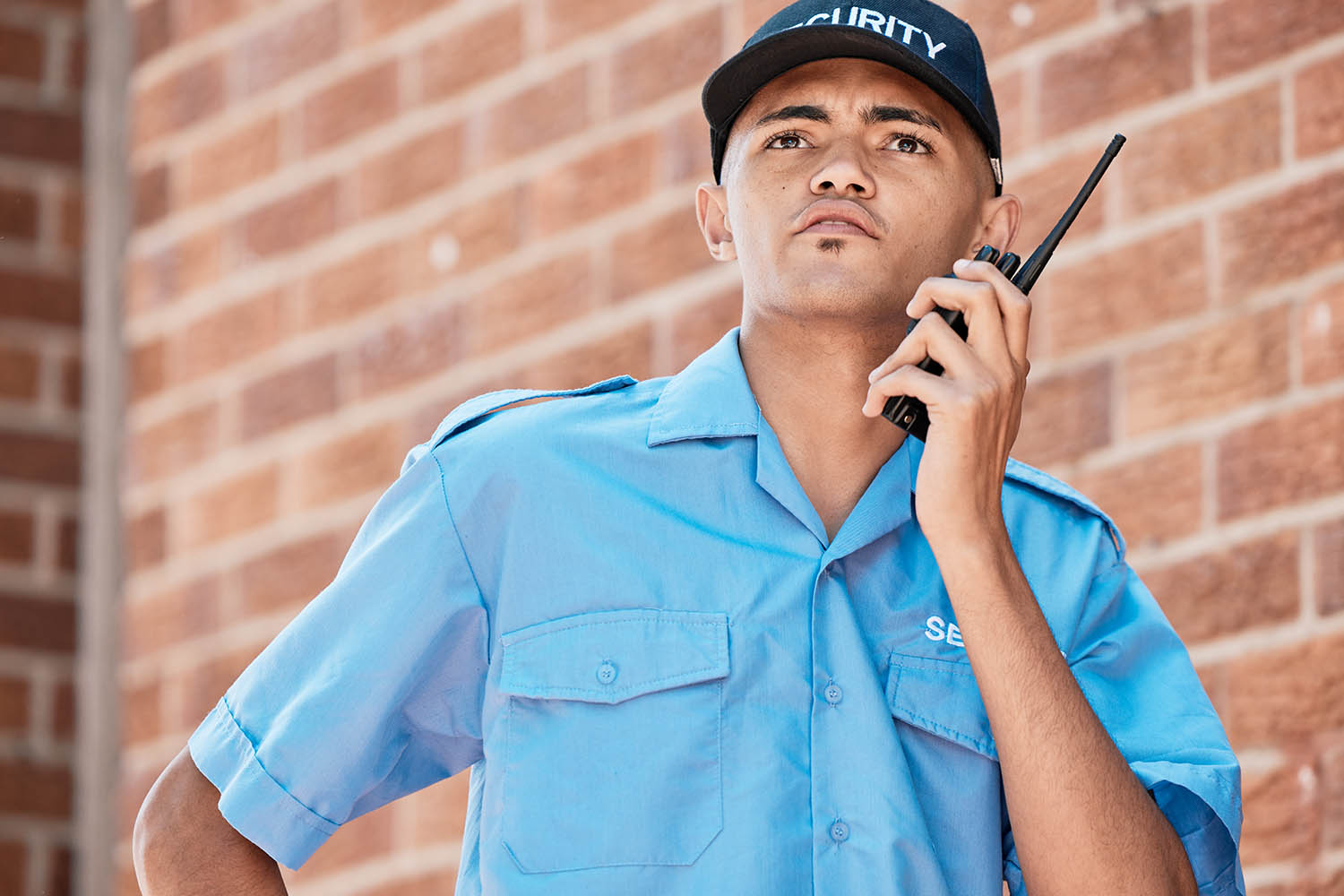 American Premier Security Inc loading=